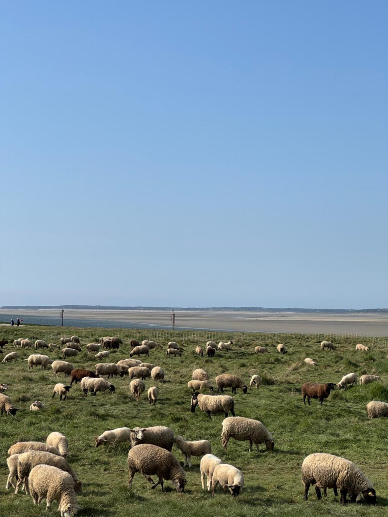 Gite Du Flot - Baie De Somme Boismont  外观 照片