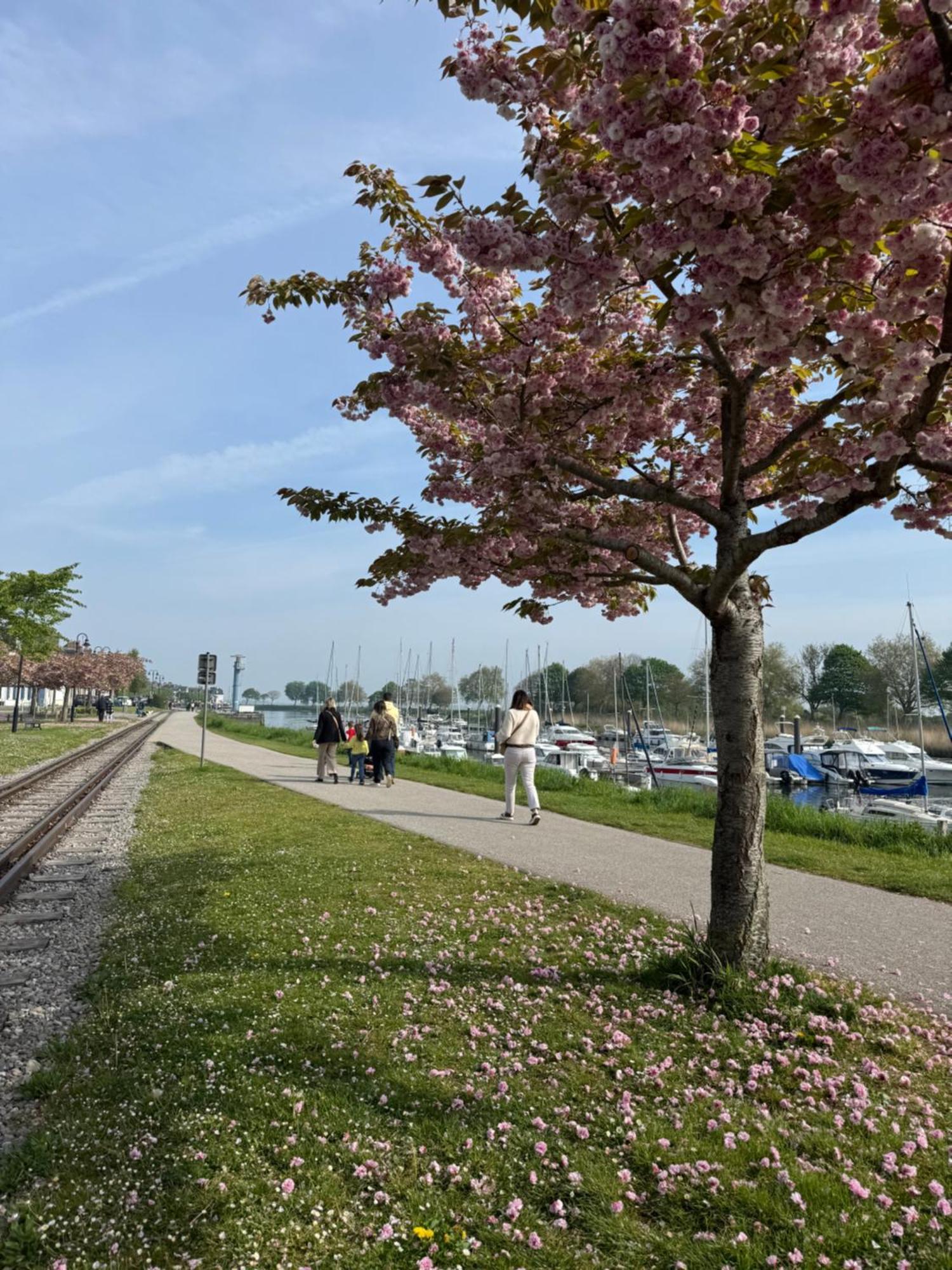 Gite Du Flot - Baie De Somme Boismont  外观 照片